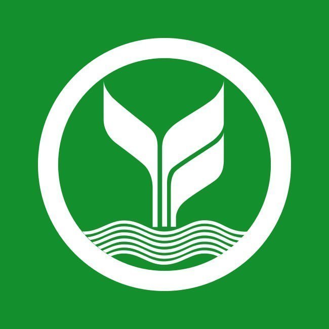 saitama168